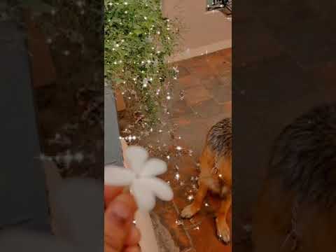 What Happens When You Give Your Whole Heart To Someone You Think Is Important 😂