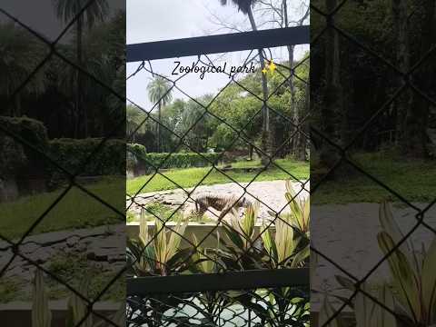 Nehru zoological park ✨ Hyderabad