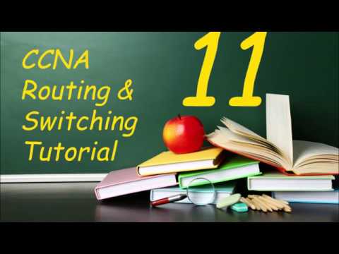 CCNA Tutorial  11  Routing and Switching​ Configuration Dynamic Route RIPv2