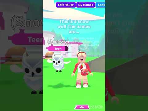 Pet Name Ideas 4: SNOW OWL #adoptme #roblox #robloxgame