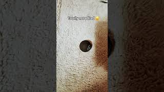 Im to fast #fypppppppppppppppppppppppppppppppppppppppppppppppppppppppppppppppppppppp #fyp #shorts