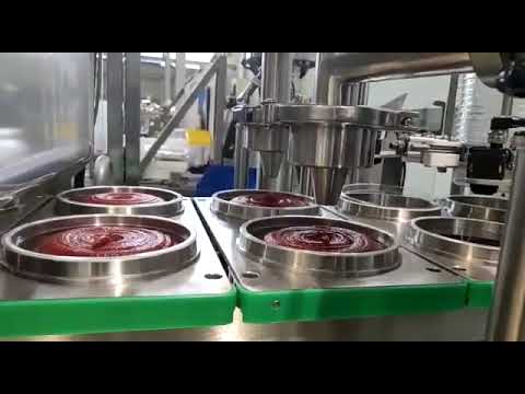 2-Up Pneumatic  Paste Products Filling & Sealing Machine