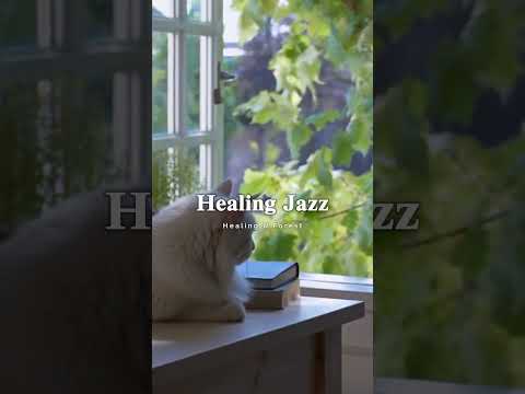 Peaceful Summer Jazz for Work, Study & Relaxation | 힐링 재즈 피아노 카페