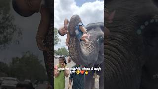 See how happy Madhuri is at Kolhapur #bringbackmadhur #kolhapurdarshan #kolhapur. #madhuri #madhuri