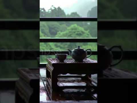 #rain #rainsounds #nature #deepfocus