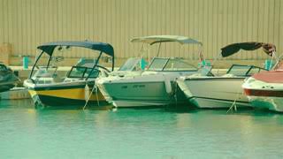 ١ نوفمبر، ٢٠١٧