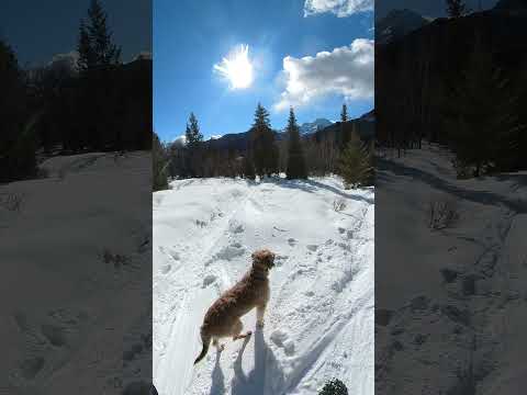 VID 20220108 110502 00 0221