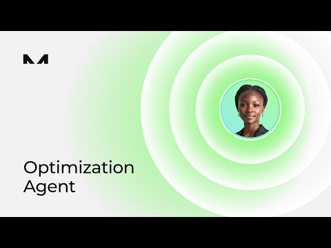 Meet the Optimization Agent | MINT ARM Platform
