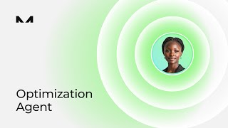Meet the Optimization Agent | MINT ARM Platform