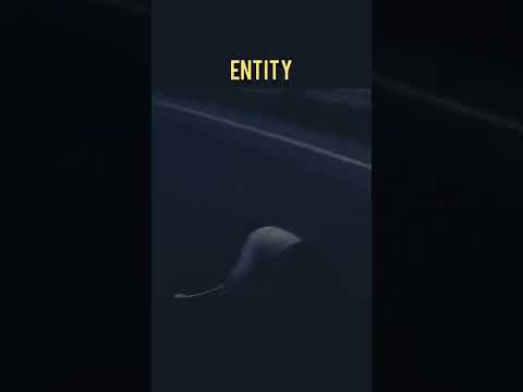 Sigma Rule 😎 - God is with you 🔥🔥🔥 | Motivational status | #shorts #viral #trending