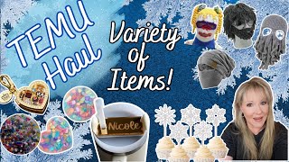 INSANE TEMU HAUL DURING A BLIZZARD! Variety of Items!