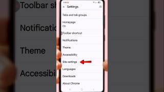 Google Chrome Redirect Problem Fix | Sirf 1 Setting Band Karo | Stop Website Redirects