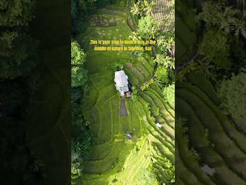 Book your stay now 😍🌿 #balitravel #sidemen #sidemenbali #karangasembali #karangasem #travelbali