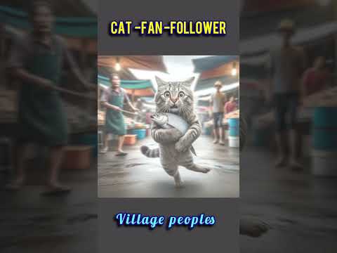 Cat fan 😍🙏#cats #shorts