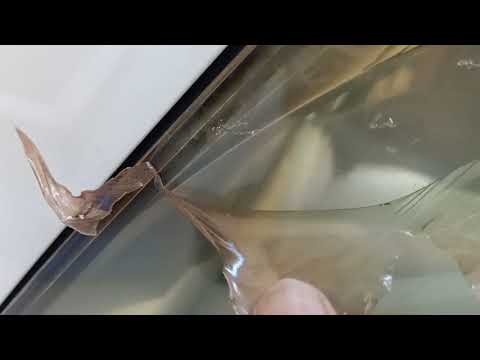 tehnik melepas stiker kaca di lampu mobil