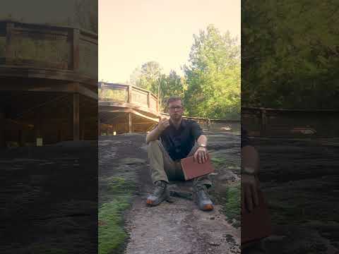 Keep Watch & Pray: Our World Needs It Now 🙏🌍#WatchAndPray#PrayerForTheWorld#ChristianShorts