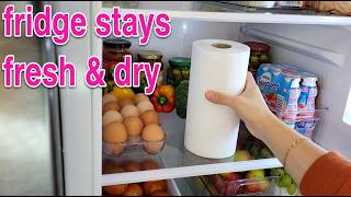 Put a Roll of Toilet paper in your Fridge and you will be surprised what happens next
