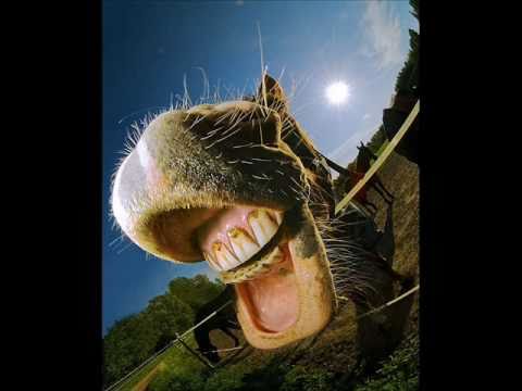 Just Laugh