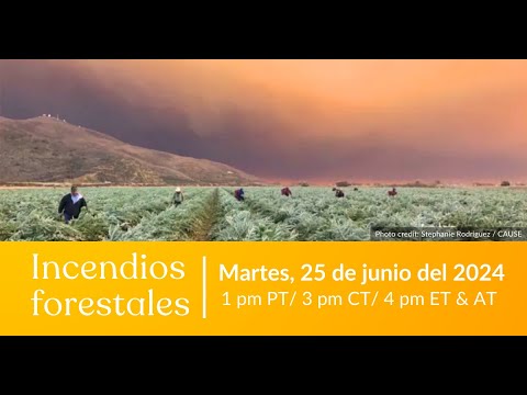 Incendios forestales | MCN y Justicia Campesina