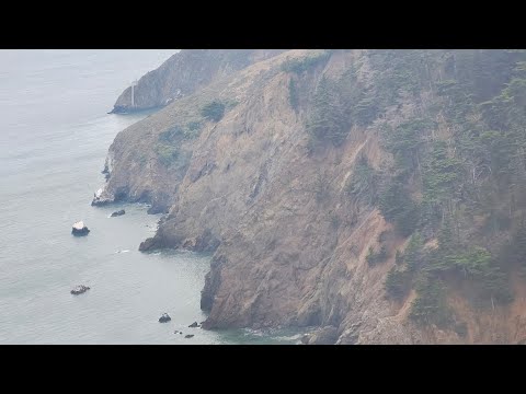 Pura Gaon Khali hai #california #fremont #viralshorts #usa #funny #funnyshorts