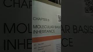Molecular Basis of Inheritance class 12| Neet 2022 #biology #shorts