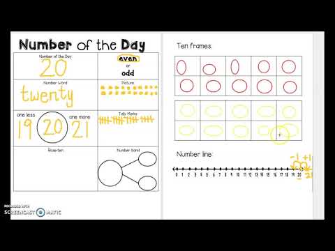 Number of the Day Number 20