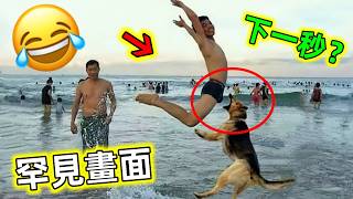 😂A fun trip turned into a nightmare! You never know what will happen next. #Funny #FunnyVideo #Hu...