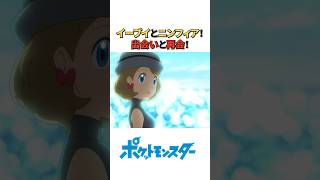 サトシとの運命の再会！新無印セレナ・ニンフィア登場！！#サトシ#アニポケ#ポケモン#ポケットモンスター