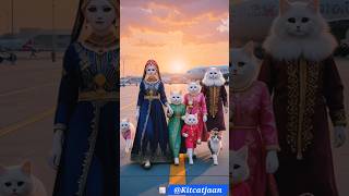 Royal Cat Family Explore Airport Runway | Cutest Stylish Walk Ever 😻✈️✨ #shorts #cutecats #cat #yt