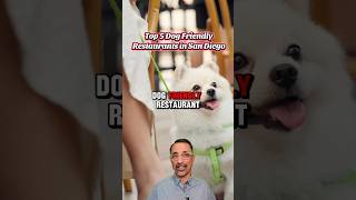Top 5 Dog Friendly Restaurants in San Diego 🐕