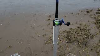 testing chaos xs 60