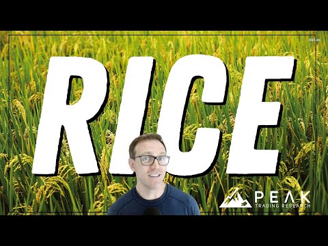 The Perfect RICE Trading System | Strategy of the Month March 2023 | Rice Commodity Strategy