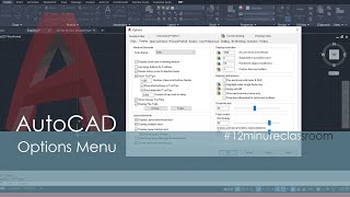 018 AutoCAD Options Menu