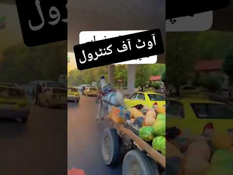 out of control #pakistan #life #doctor #viral #kuwait