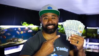 How to MAKE MONEY in the AQUARIUM Hobby!