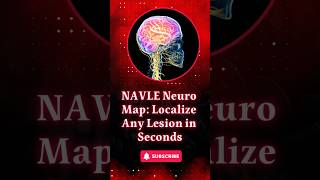 The Neuroscience of Lesion Localization Explained for NAVLE.