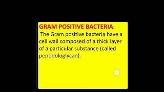 Gram positive bacteria #easynotes #neet #biology #viral #shorts