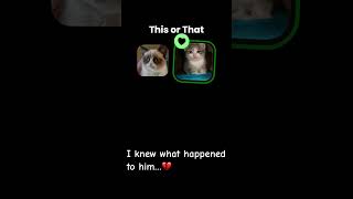 Grumpy cat meme #catmeme #sad #passedaway #fyp #grumpycat
