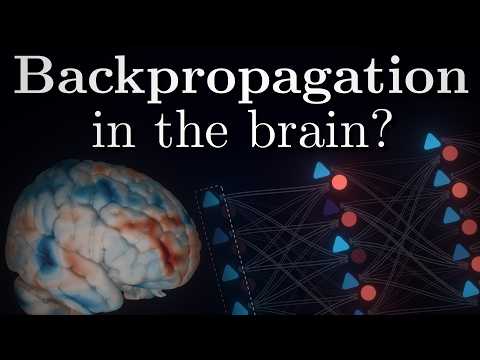 Learning Algorithm Of Biological Networks