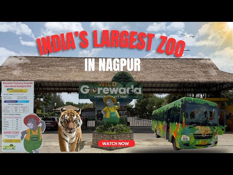 Gorewada zoo nagpur zoo entry fees | Gorewada jungle safari  l Largest Zoo in India l Tiger Safari