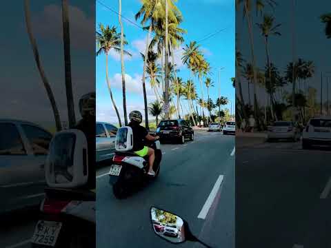 Cachorro motoqueiro hahahahaha #dog #nmax #r15 #joaopessoa