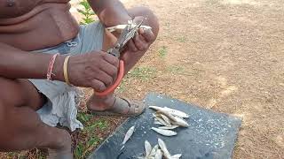 jugadu idea in odisha