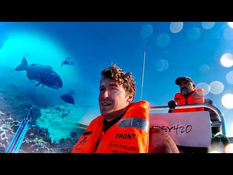 Incredible Spearfishing in South Africa: Rough Seas and Big Fish