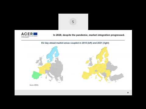 ACER-CEER Webinar on the Electricity Wholesale Market Monitoring Report (05.11.2021)