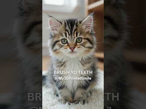 SUBSCRIBE Cutest Cat in the World, Brushes Teeth for Global Dental Health Awareness #brushyourteeth