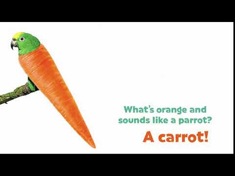 The Big Book of Silly Jokes for Kids