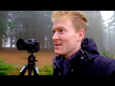 A Misty Morning in Chantry Woods | Landscape Photography | Woodland