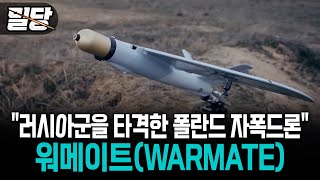 [밀당] 러시아군을 타격한 폴란드 자폭드론 ··· 워메이트(WARMATE) #워메이트드론 #자폭드론