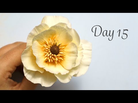 Butterfly Ranunculus | Day 15 | 30 Days of Sugar Flowers