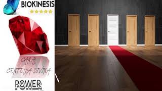 DREAM EMPLOYMENT MANAGEMENT - BINAURAL TO CREATE OPPORTUNITIES - MAKE DECISIONS